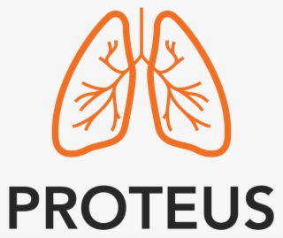 Whey Protein Vector Png