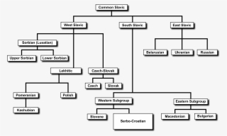 This Free Icons Png Design Of Slavic Language Diagram