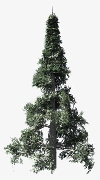 Tree#3 - Christmas Tree