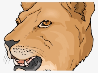 Lioness Clipart Fossa - Lion Face Coloring Page