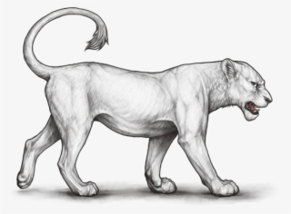 Lion Page - Lioden Combo Base Sunset X Bast