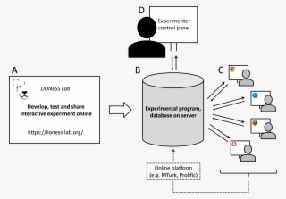 Lioness Experiments - Diagram