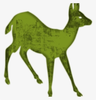 Silueta Venado Cola Blanca