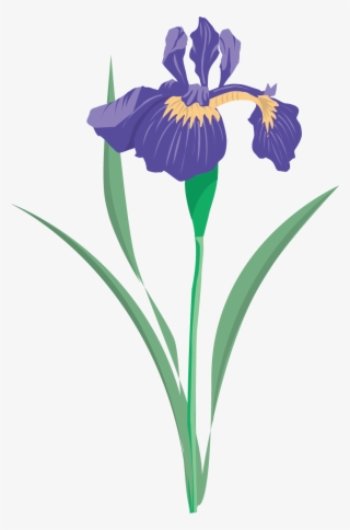 Versicolor Flower Data Set Clip Art Floral - Blue Iris Flower Clip Art
