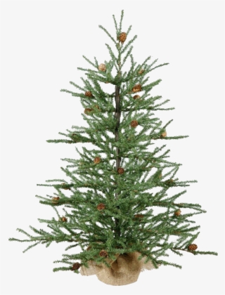 Christmas Tree Looks Real