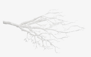 Deco Twig White - Sketch