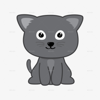 Animal 01 Animal 02 - Domestic Short-haired Cat