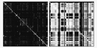 Vertical Lines Indicate Files That Have A High Fan - Monochrome