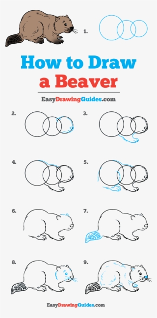 How To Draw Beaver - Draw Bacon And Eggs Easy