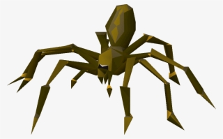 Araneus Cavaticus