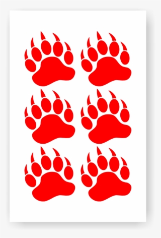 Hover Over Image To Zoom - Bear