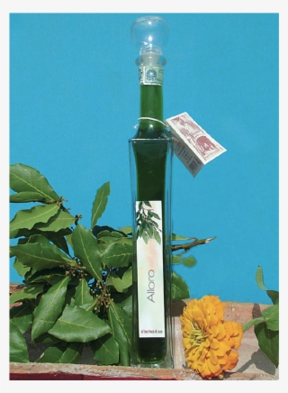 Liquor Alloro - Street Sign