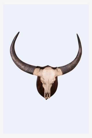 Size Guide - Bull