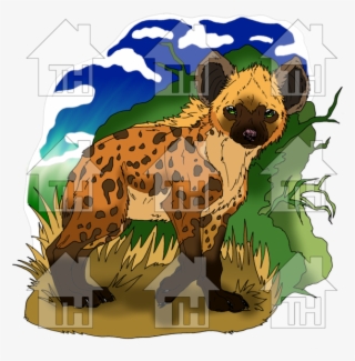 Recent Images - Spotted Hyena