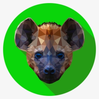 894 X 894 4 - Hyena Low Poly