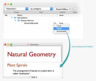 Choose False To Hide Cell Brackets Or Automatic To - Natura Bio Science