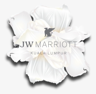 Twkl Gallery Working Board55-02 - Bed Sheet