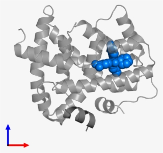 <div Class='caption-body'>pdb Entry 3oof Contains 1 - Jigsaw Puzzle