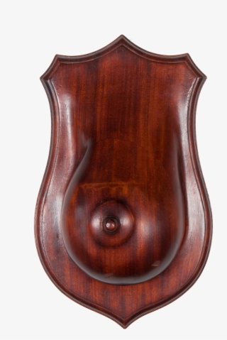 Firearm