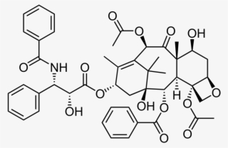 900 X 609 6 - Taxol Structure