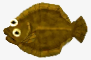 Download Zip Archive - Sole