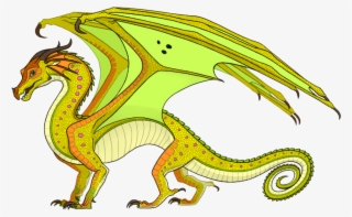 Animus Dragons - Rainwing Dragon Wings Of Fire