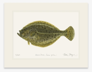 Sign Up And Get 10% Off - Coastal Maine Fish