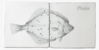 Fish 2 Panel - Halibut