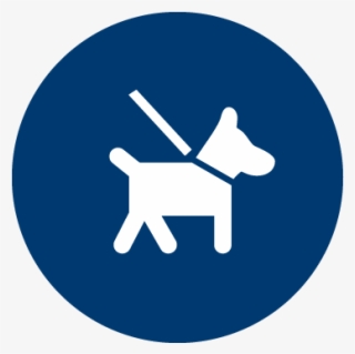 Pets On Board - Playstation ロゴ