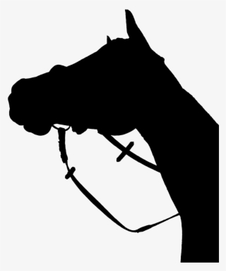 Horse Silhouette Black - Horse Head Low Angle