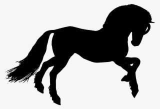 Horse Silhouette Wild - Stallion