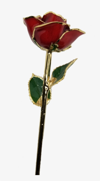 Login - Garden Roses