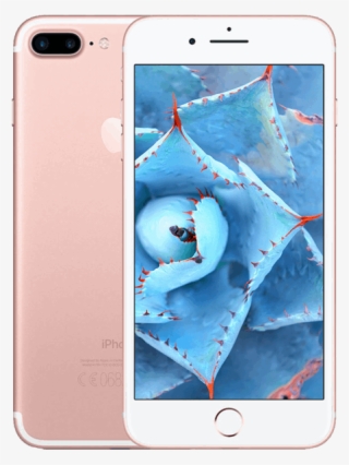 Iphone® 7 Plus 256gb - New Perspectives On Ms Office 365 & Access 2016