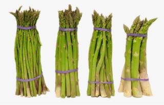 Search For -  -  - Asparagus