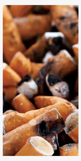 The Cost Of Smoking Is Not Just To Your Health - Cosas Que Producen Malos Olores
