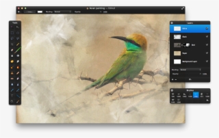 Select The Brush Tool And Fill The Layer With Strokes - Red Circle Blue Rectangle