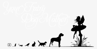 Services - Fairy Dogmother