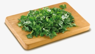 Harvesting Period - Parsley