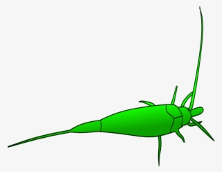 Grasshopper Clipart Dead - Dead Grasshopper Cartoon