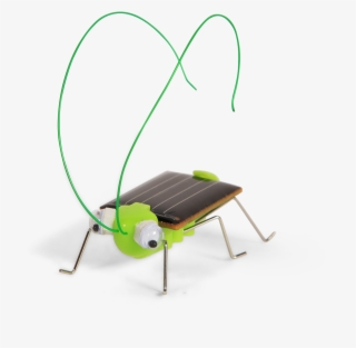 Solar Grasshopper Solar Grasshopper - Insect