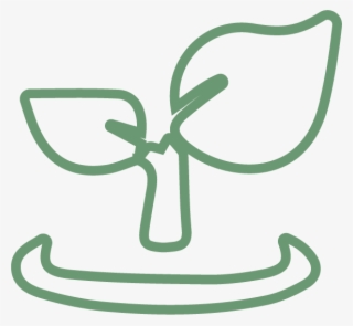 Leaf Outline