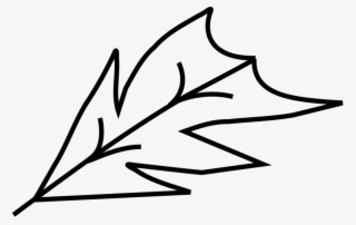Contorno De La Hoja