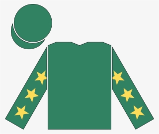 Circle Of 13 Stars Vector