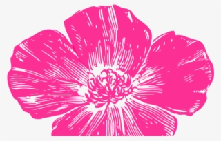 Petal Clipart Hot Pink Rose - California Poppy Transparent Background