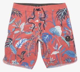 Board Short