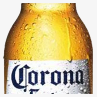 Corona Extra Clipart 24 Oz - Corona Extra