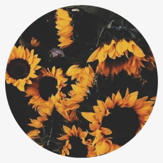 Yellow Sticker - Mustard Yellow Tumblr Wallpaper Quotes