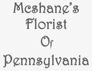 Mcshane's Florist Of Pennsylvania - Beauty