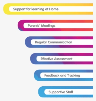 Who Is Pingu - Electric Blue