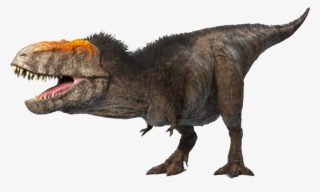 Yokomation Studios - Tyrannosaurus Rex 2018